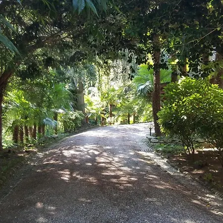 Panzió Magnolia Maggiore 3*