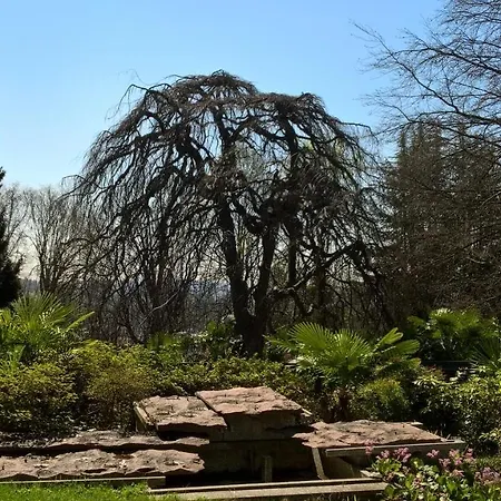 Magnolia Maggiore Panzió 3*