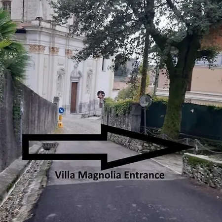 Magnolia Maggiore * Besozzo